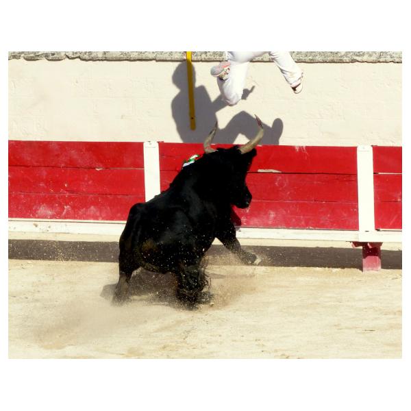 PHOTO84, CLUB, 84 , LUBERON